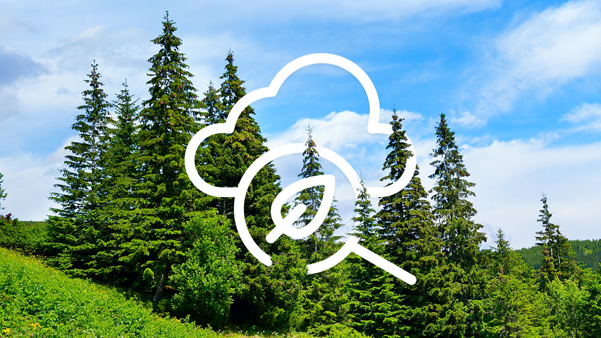 Sustainability Data API Cover Image
