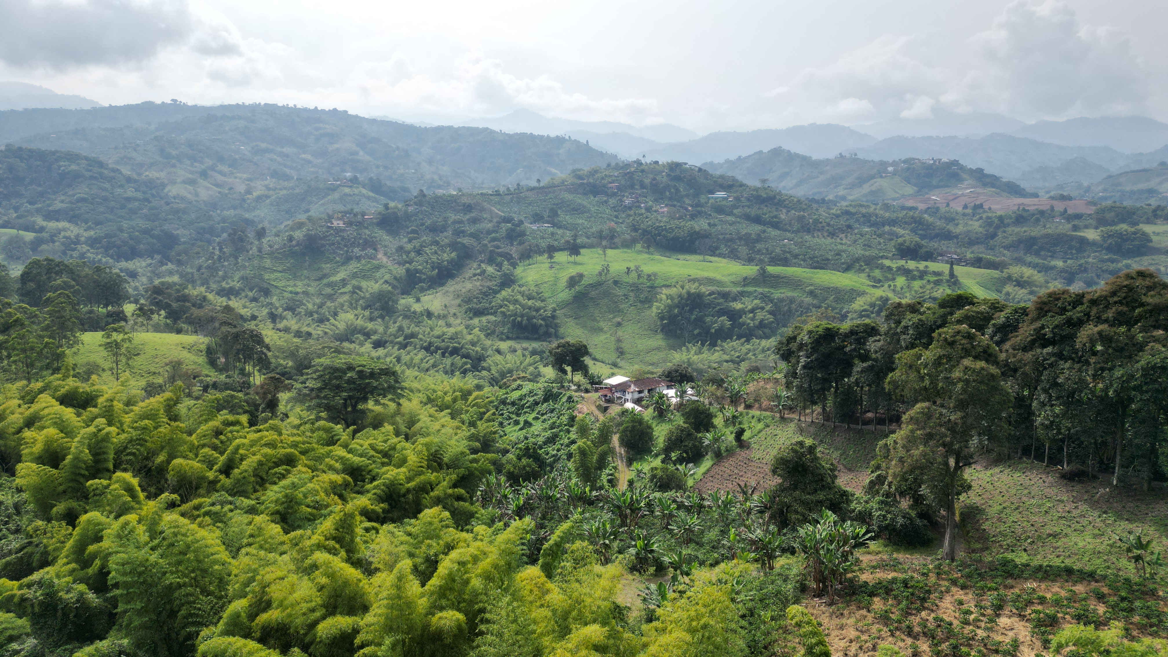 Los Cedros landscape