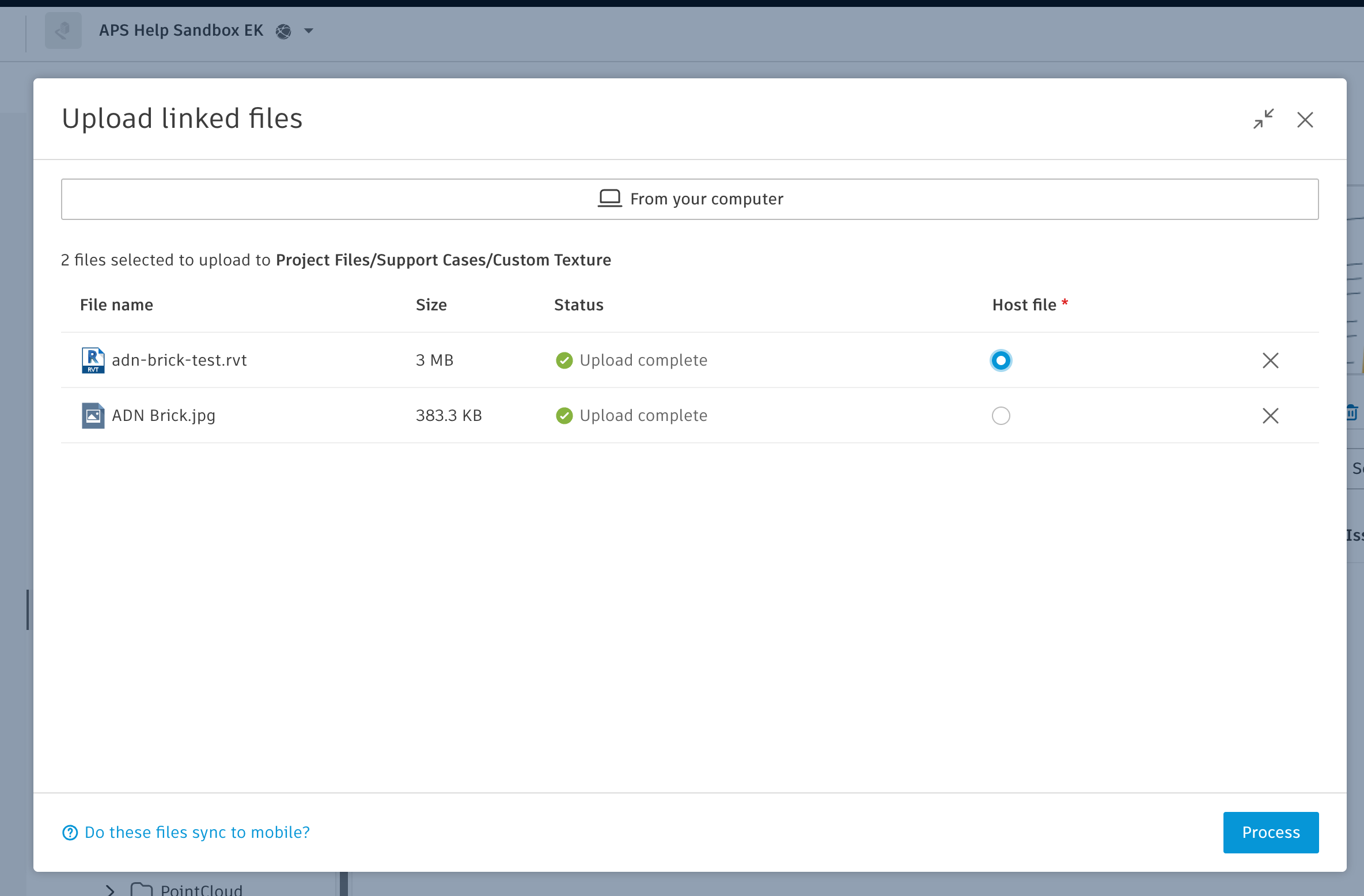 Upload Revit custom texture and RVT with Upload Linked Files